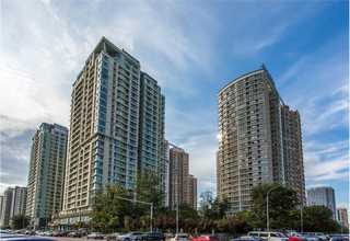 辽宁高宝膜内贴膜供应商