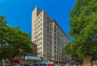 温州古法艾灸贴